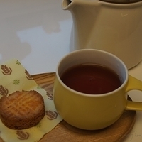 2012.03.19-002.JPG