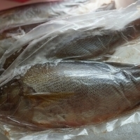 2012.10.18-001.JPG
