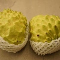 2013.02.16-003.JPG
