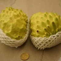 2013.02.16-004.JPG