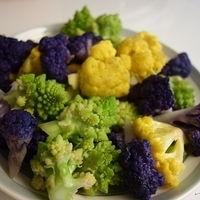 2013.03.25-001.JPG