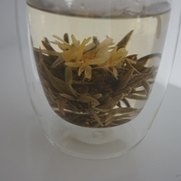 2013.06.23-001.JPG