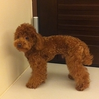 Kirby.2011.04.13-001.jpg