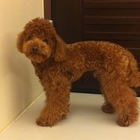 Kirby.2011.04.13-002.jpg