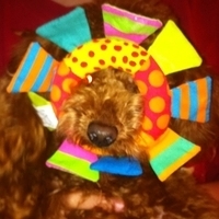 Kirby.2011.04.13-003.jpg