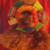 Kirby.2011.04.13-004.jpg