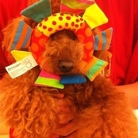 Kirby.2011.04.13-005.jpg