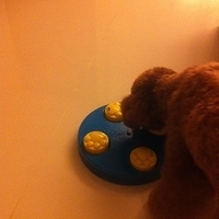 Kirby.2011.04.16-008.JPG
