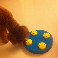 Kirby.2011.04.16-010.JPG