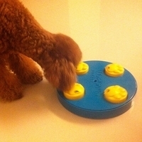 Kirby.2011.04.16-011.JPG