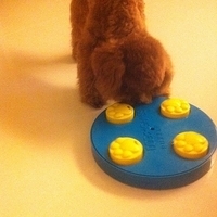 Kirby.2011.04.16-013.JPG