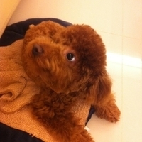 Kirby.2011.04.17-001.JPG