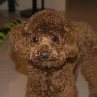Kirby.2011.04.21-002.JPG