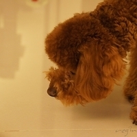 Kirby.2011.04.21-004.JPG