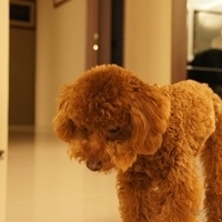 Kirby.2011.04.21-005.JPG