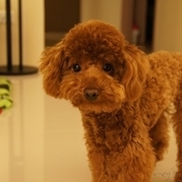 Kirby.2011.04.21-006.JPG