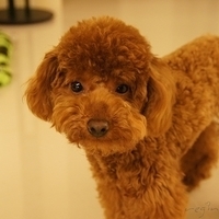 Kirby.2011.04.21-007.JPG