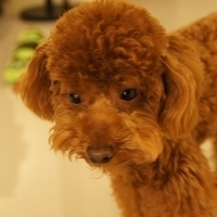 Kirby.2011.04.21-008.JPG