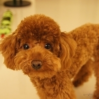 Kirby.2011.04.21-009.JPG
