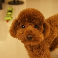 Kirby.2011.04.21-010.JPG