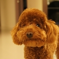 Kirby.2011.04.21-011.JPG