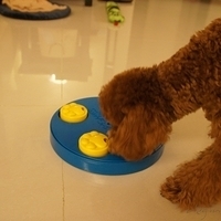 Kirby.2011.04.21-012.JPG