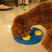 Kirby.2011.04.21-013.JPG