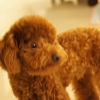 Kirby.2011.04.21-014.JPG