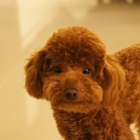 Kirby.2011.04.21-015.JPG