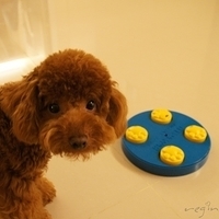 Kirby.2011.04.21-016.JPG