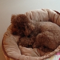 Kirby.2013.04.09-001.JPG