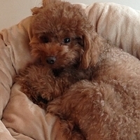Kirby.2013.04.09-002.JPG
