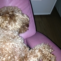 Kirby.2013.04.10-001.JPG