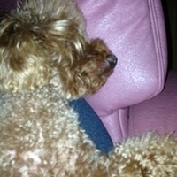 Kirby.2013.04.10-002.JPG