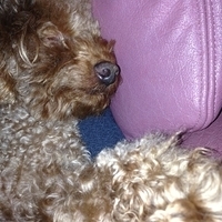 Kirby.2013.04.10-003.JPG