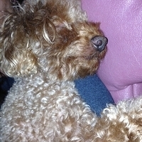 Kirby.2013.04.10-004.JPG