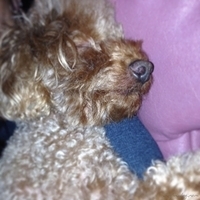 Kirby.2013.04.10-005.JPG