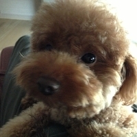 Kirby.2013.04.15-001.JPG