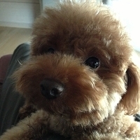Kirby.2013.04.15-002.JPG