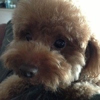 Kirby.2013.04.15-003.JPG