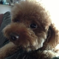 Kirby.2013.04.15-004.JPG