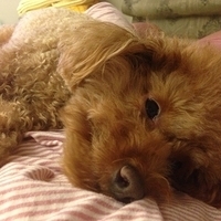 Kirby.2013.04.26-001.JPG