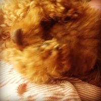Kirby.2013.04.26-003.JPG