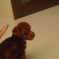 Kirby.2010.08.09-002.JPG