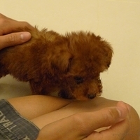 Kirby.2010.08.09-003.JPG
