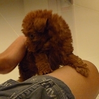 Kirby.2010.08.09-004.JPG