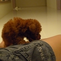 Kirby.2010.08.09-005.JPG