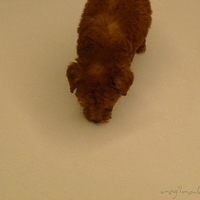 Kirby.2010.08.09-006.JPG