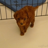 Kirby.2010.08.09-007.JPG