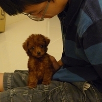 Kirby.2010.08.09-008.JPG